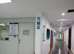 上海匿名DNA亲子鉴定收费情况，上海隐私亲子鉴定服务详解