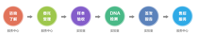 上海隐私亲子鉴定流程